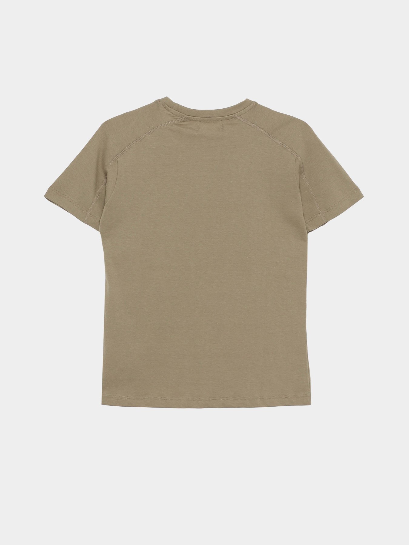 Футболка Piazza Italia модель 82455_green Фото