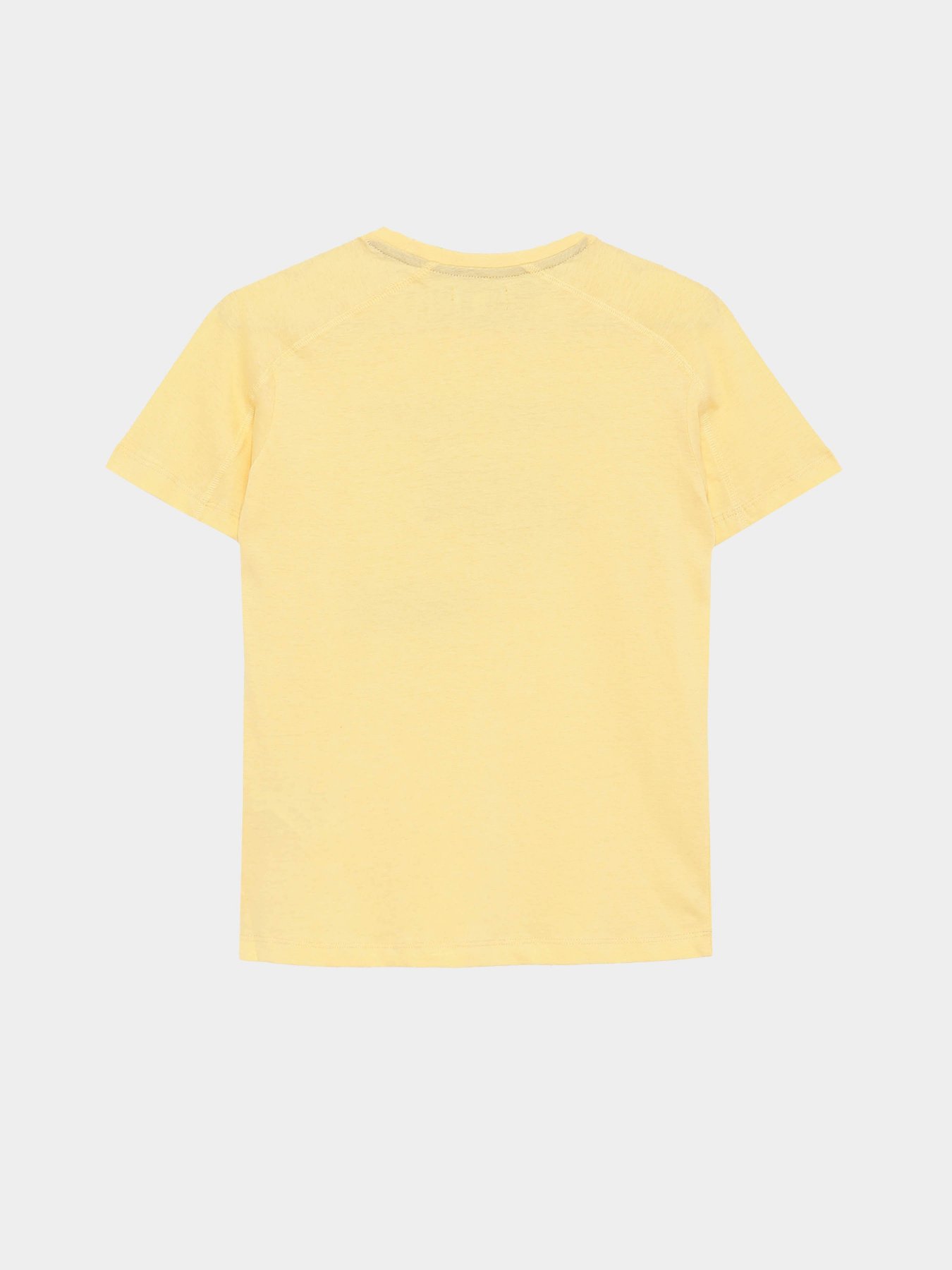 Футболка Piazza Italia модель 82455_yellow Фото