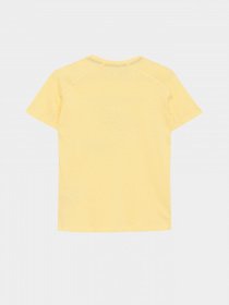 Футболка Piazza Italia модель 82455_yellow Фото