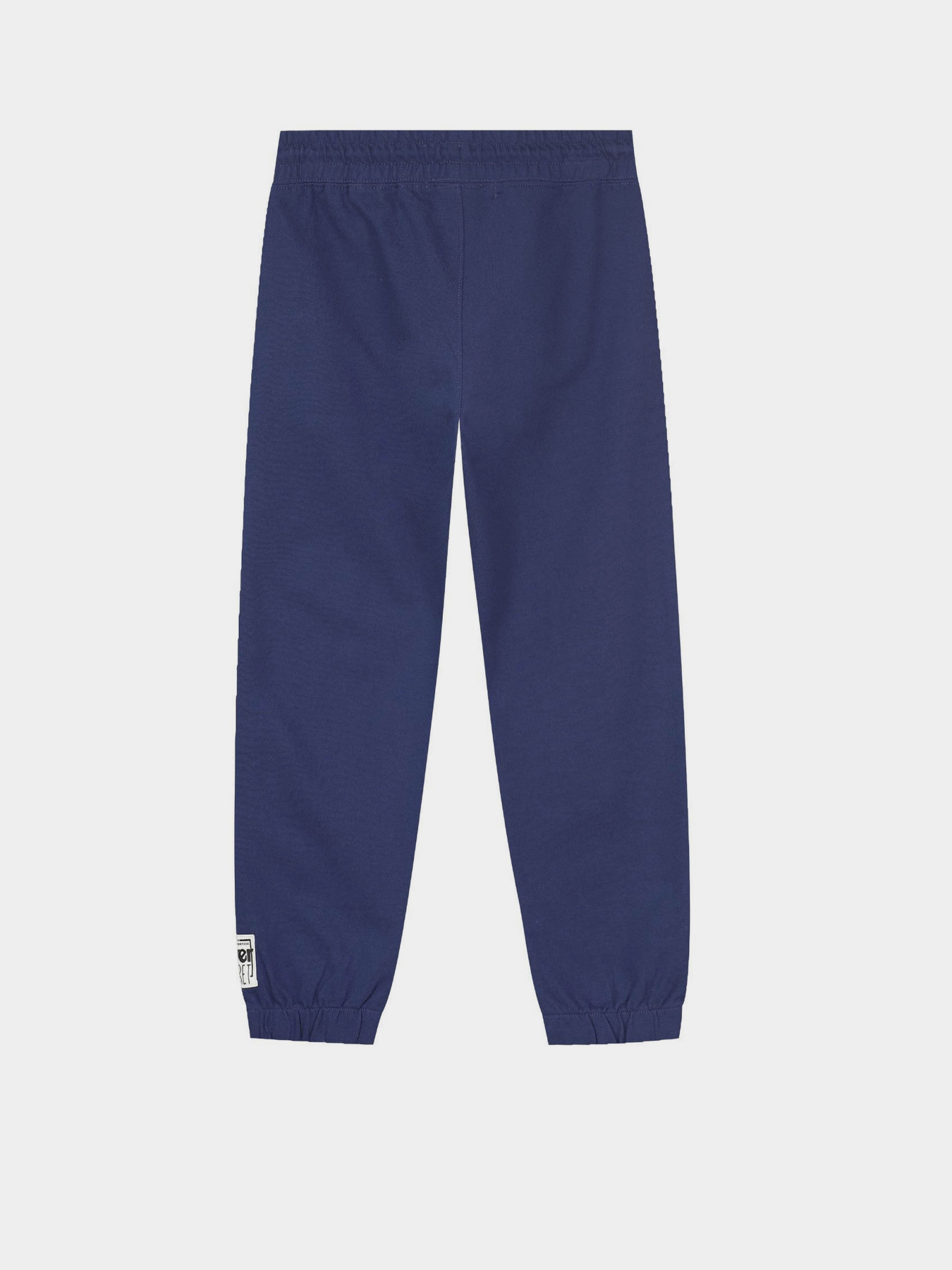 Джоггеры Piazza Italia модель 07433_blue Фото