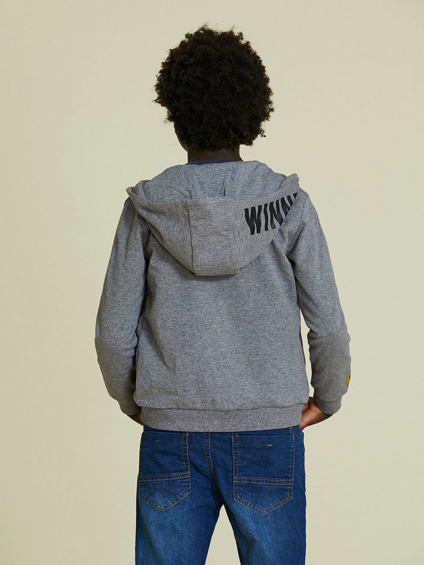 Спортивная кофта Piazza Italia модель 70579_grey melange Фото