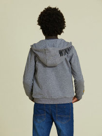 Спортивная кофта Piazza Italia модель 70579_grey melange Фото