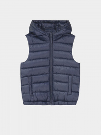 Жилет з утеплювачем Piazza Italia Модель 07450_blue Фото