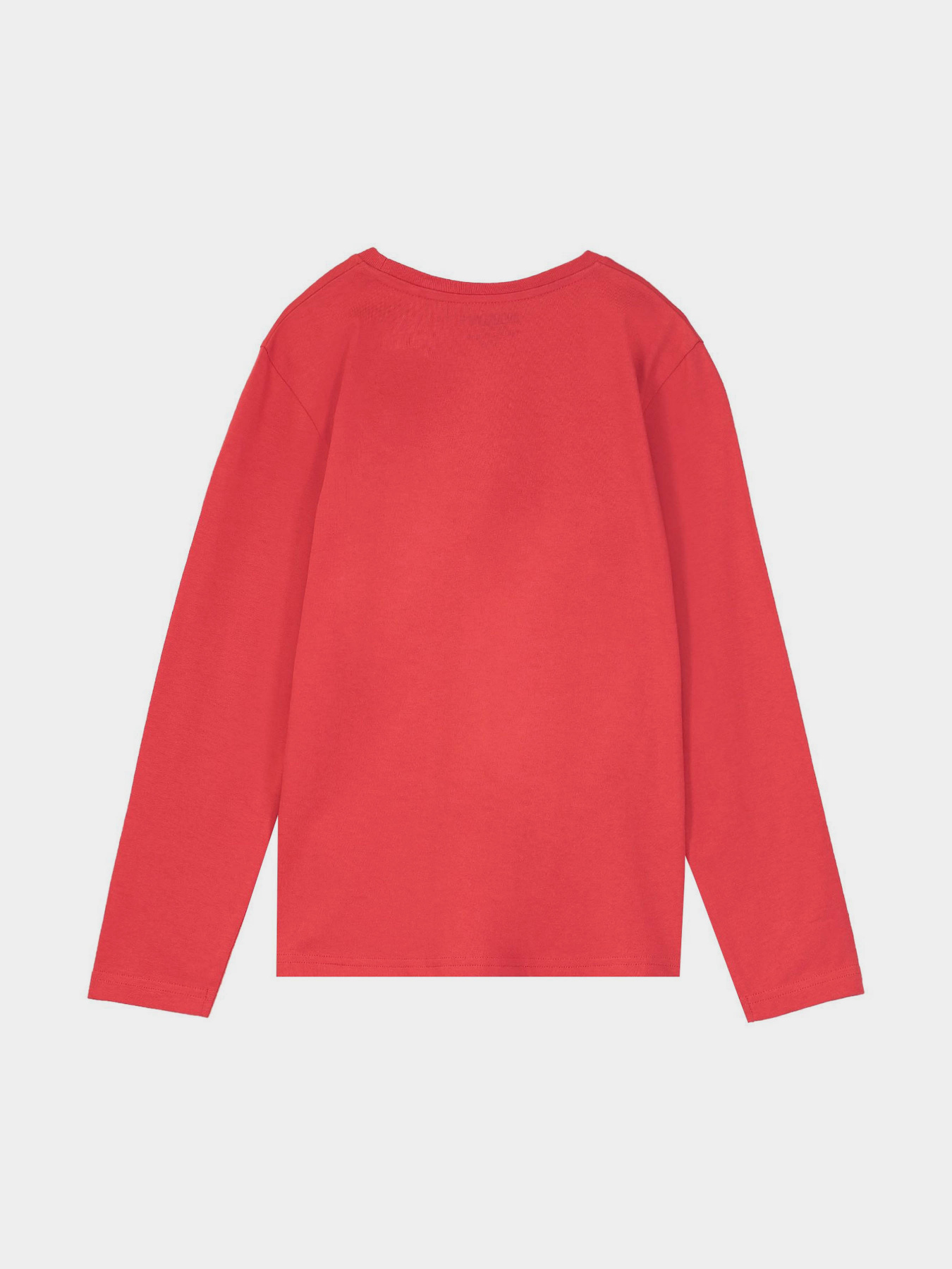 Лонгслив Piazza Italia модель 07454_red Фото