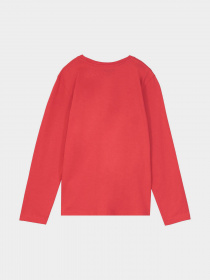 Лонгслив Piazza Italia модель 07454_red Фото