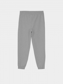 Джоггеры Piazza Italia модель 07716_grey melange Фото