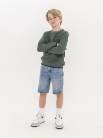 Джемпер Piazza Italia модель 07737_sage Фото