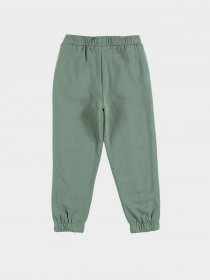 Штаны спортивные Piazza Italia модель 74301_green Фото