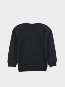 Свитшот Piazza Italia модель 76817_black Фото