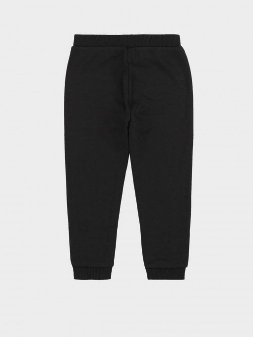 Спортивні штани Piazza Italia модель 78149_black Фото