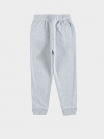 Штаны спортивные Piazza Italia модель 88380_grey melange Фото