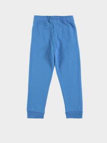 Штаны спортивные Piazza Italia модель 88449_ocean Фото