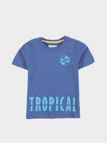 Футболка Piazza Italia модель 01982_avion Фото