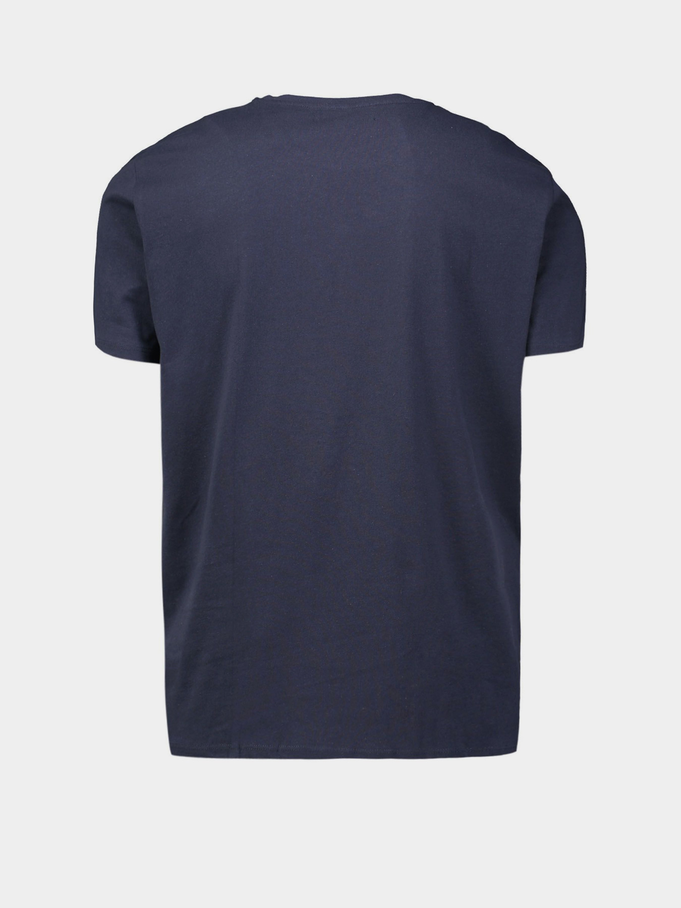 Футболка Piazza Italia модель 04330_blue Фото