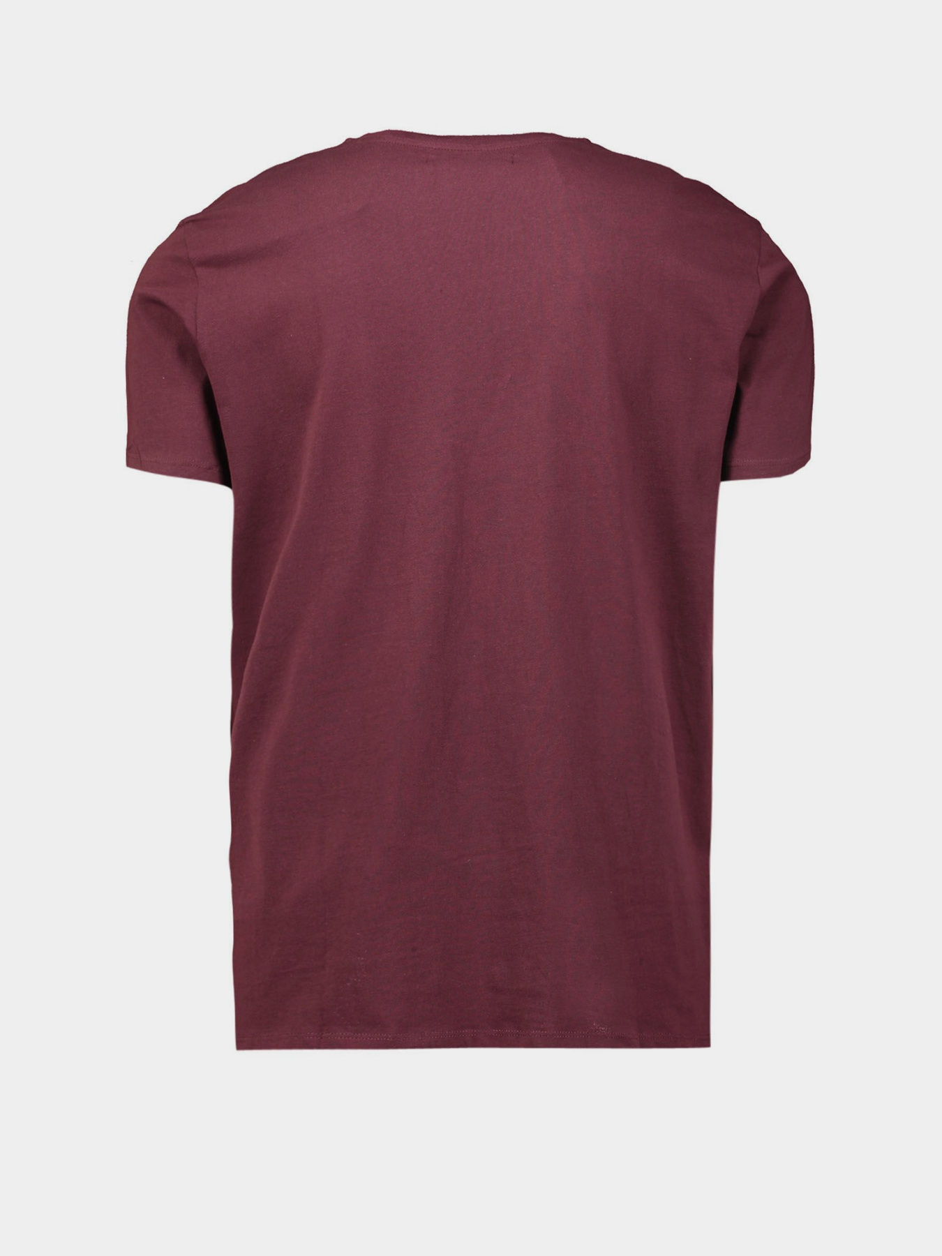 Футболка Piazza Italia модель 04330_plum Фото