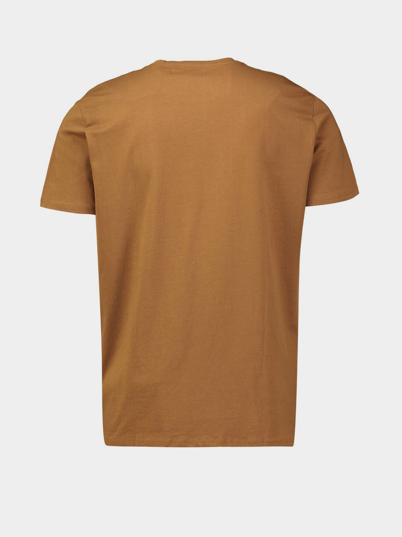 Футболка Piazza Italia модель 04330_tobacco Фото