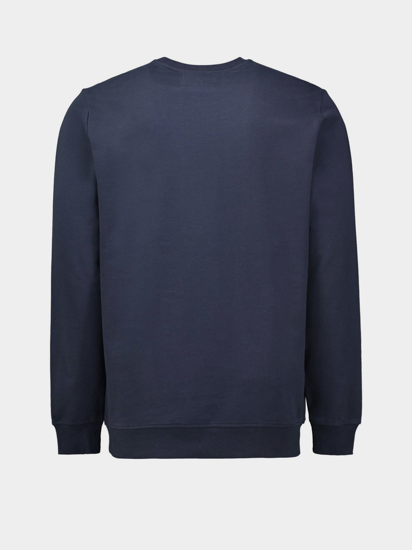 Світшот Piazza Italia модель 04194_blue Фото