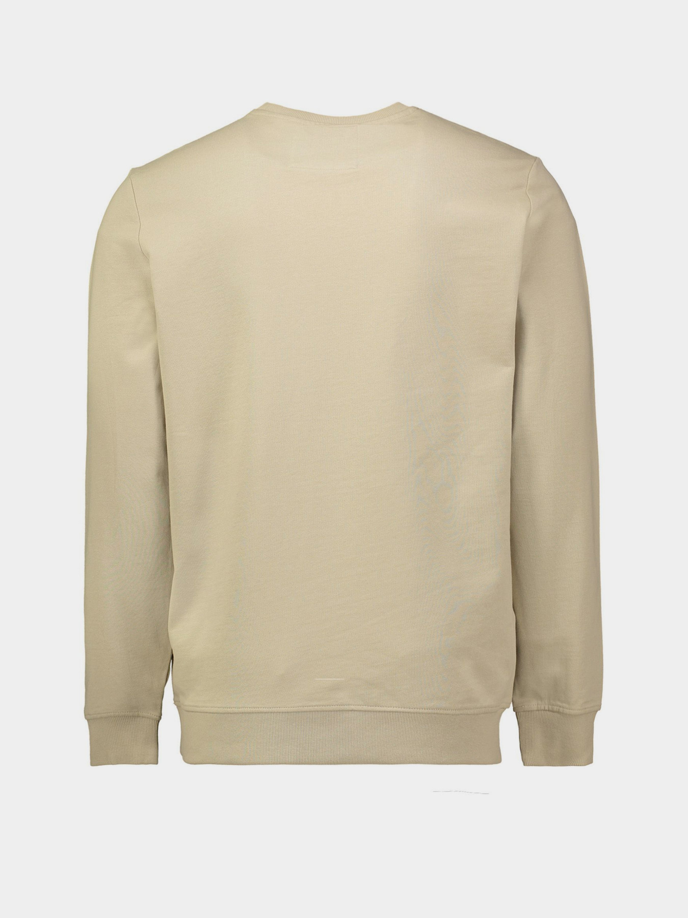 Свитшот Piazza Italia модель 04194_mastic Фото