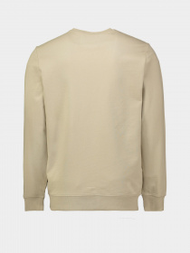 Свитшот Piazza Italia модель 04194_mastic Фото