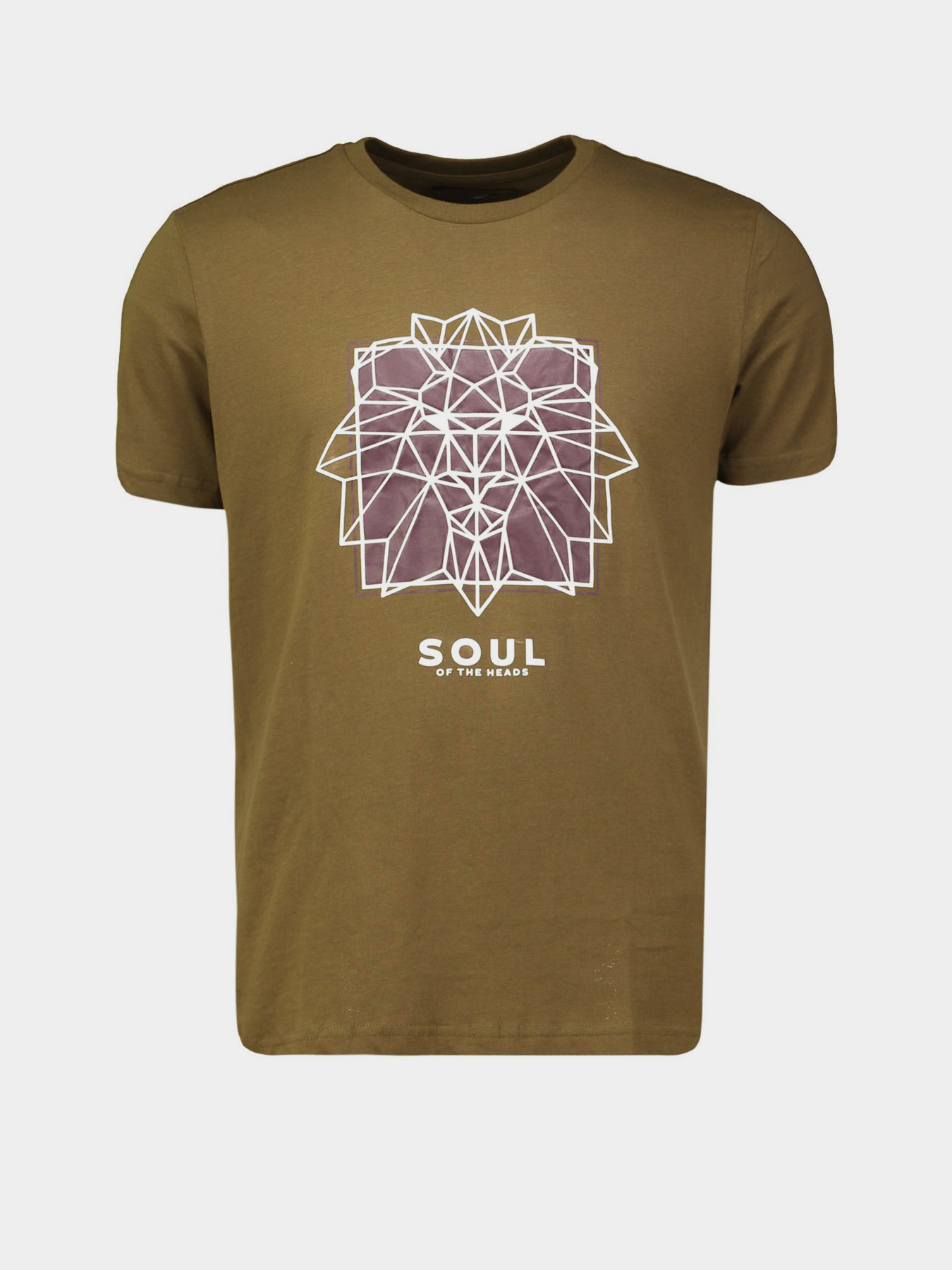 Футболка Piazza Italia модель 04317_army Фото