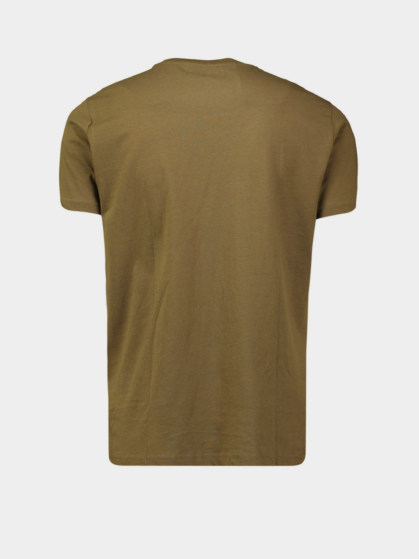 Футболка Piazza Italia модель 04317_army Фото