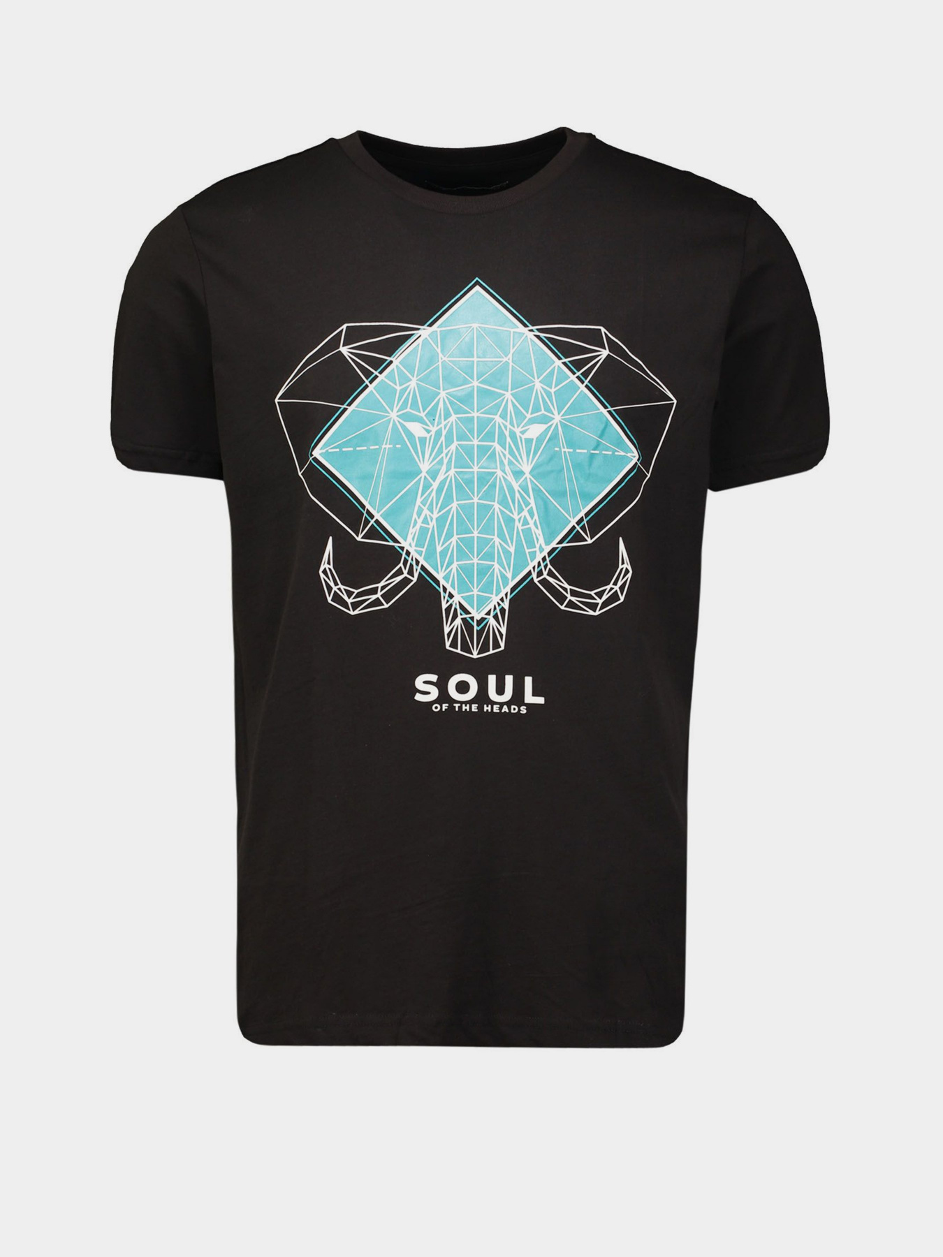 Футболка Piazza Italia модель 04317_black Фото