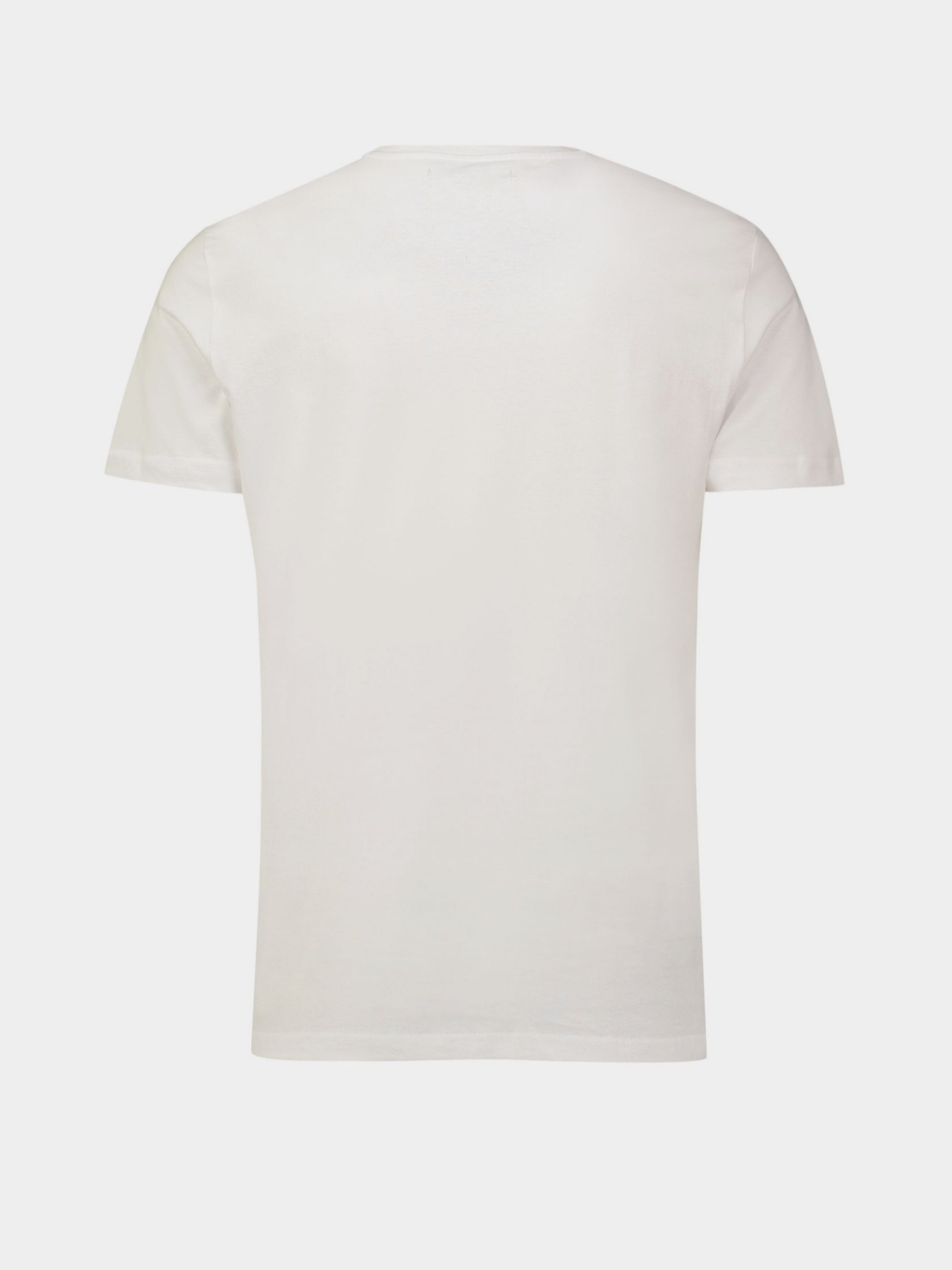 Футболка Piazza Italia модель 04317_white Фото