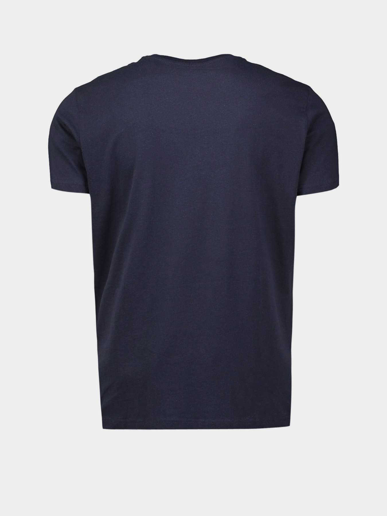 Футболка Piazza Italia модель 04319_blue Фото