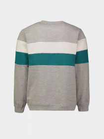 Свитшот Piazza Italia модель 04410_grey melange Свитшот Piazza Italia модель 04410_grey melange Фото