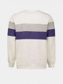 Свитшот Piazza Italia модель 04410_white Фото