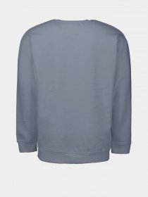 Свитшот Piazza Italia модель 04445_avion Фото