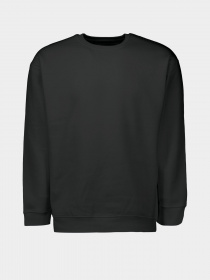 Свитшот Piazza Italia модель 04445_black Фото