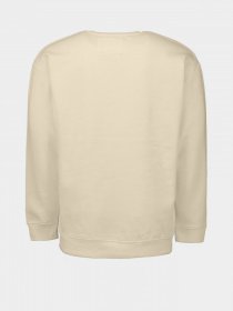 Свитшот Piazza Italia модель 04445_mastic Фото