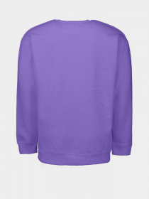 Свитшот Piazza Italia модель 04445_violet Фото