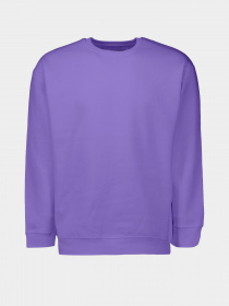 Свитшот Piazza Italia модель 04445_violet Свитшот Piazza Italia модель 04445_violet Фото