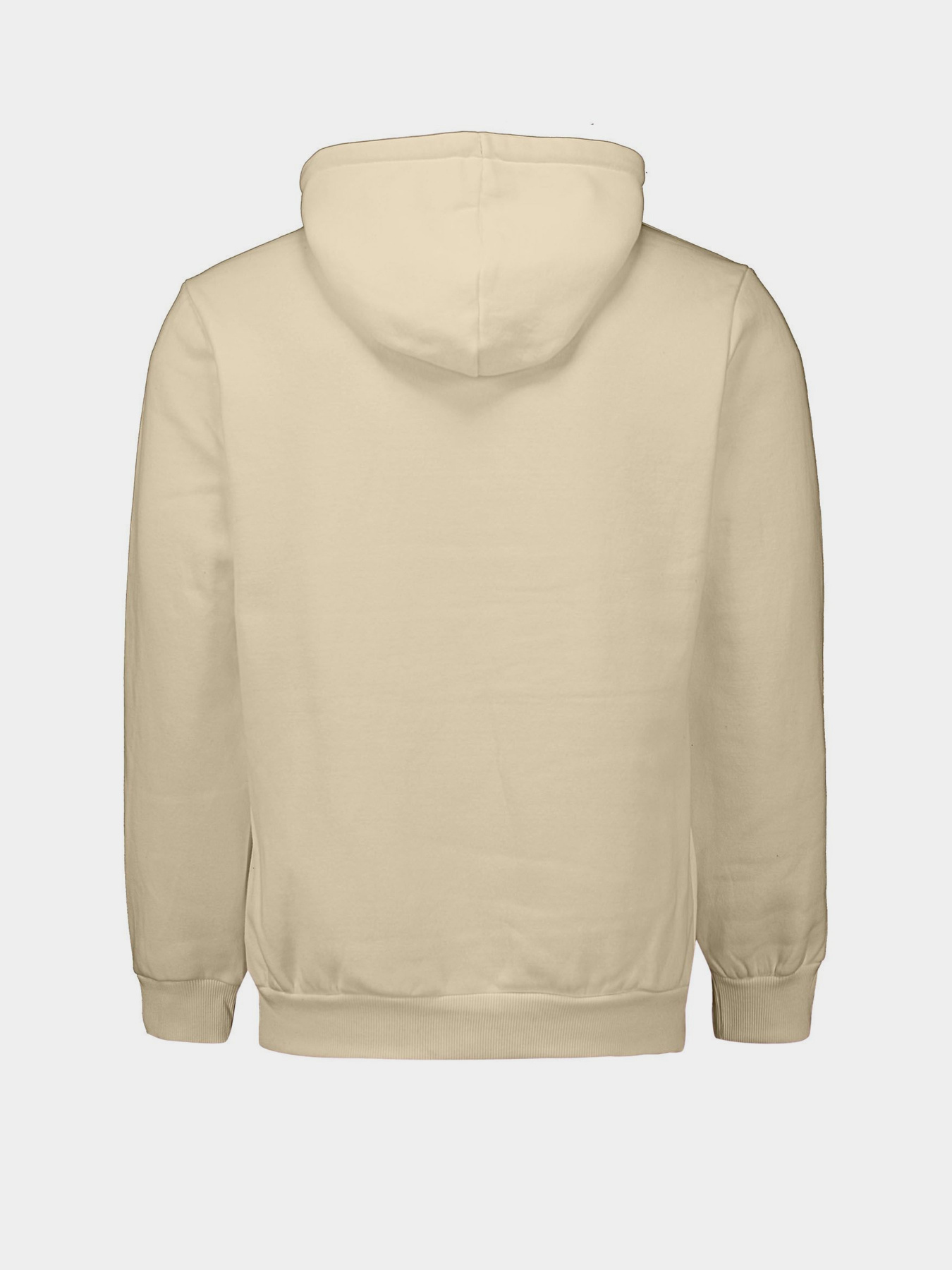 Худи Piazza Italia модель 04481_mastic Фото