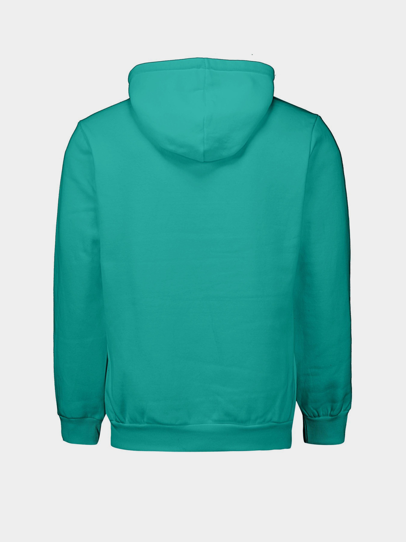 Худи Piazza Italia модель 04481_ottanio Фото