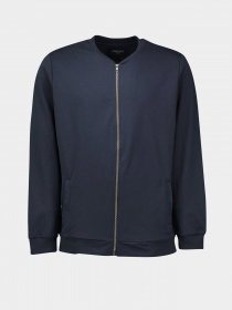 Спортивная кофта Piazza Italia модель 04484_blue Фото