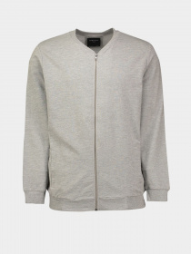 Спортивная кофта Piazza Italia модель 04484_grey melange Фото