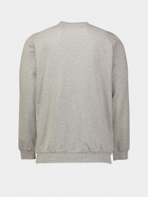 Спортивная кофта Piazza Italia модель 04484_grey melange Фото