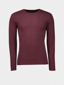 Лонгслив Piazza Italia модель 05042_plum Фото