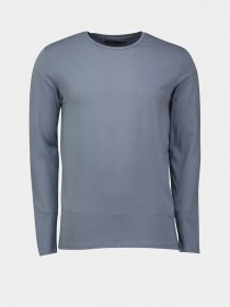 Лонгслив Piazza Italia модель 05043_avion Фото