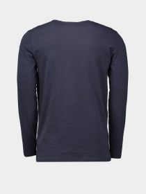 Лонгслив Piazza Italia модель 05043_blue Фото