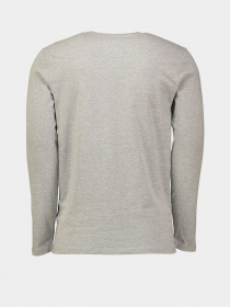 Лонгслив Piazza Italia модель 05043_grey melange Фото