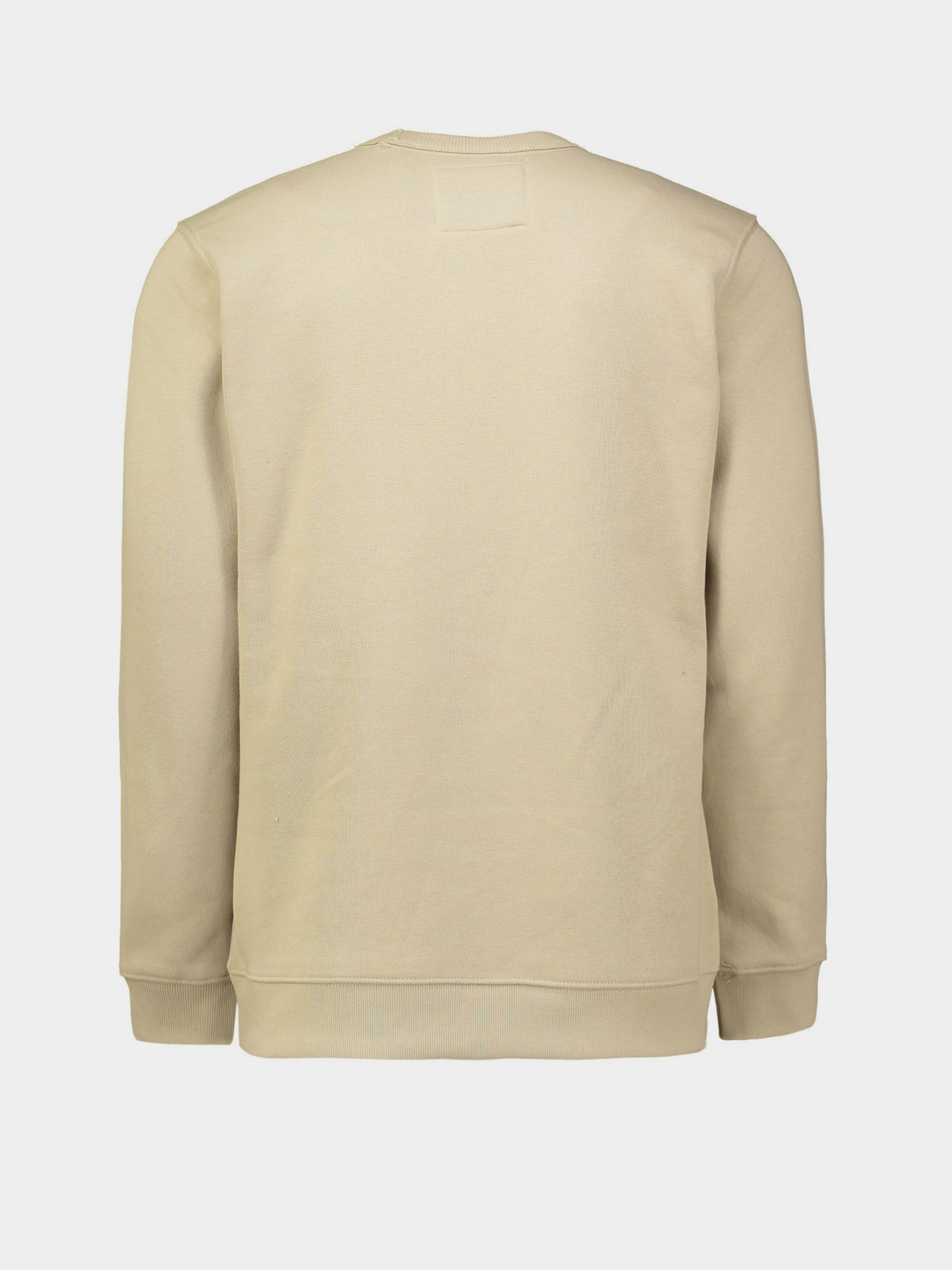 Свитшот Piazza Italia модель 05749_mastic Фото