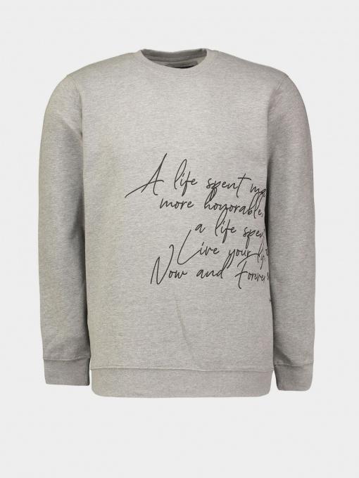 Світшот Piazza Italia модель 05750_grey melange Фото