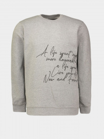 Свитшот Piazza Italia модель 05750_grey melange Фото