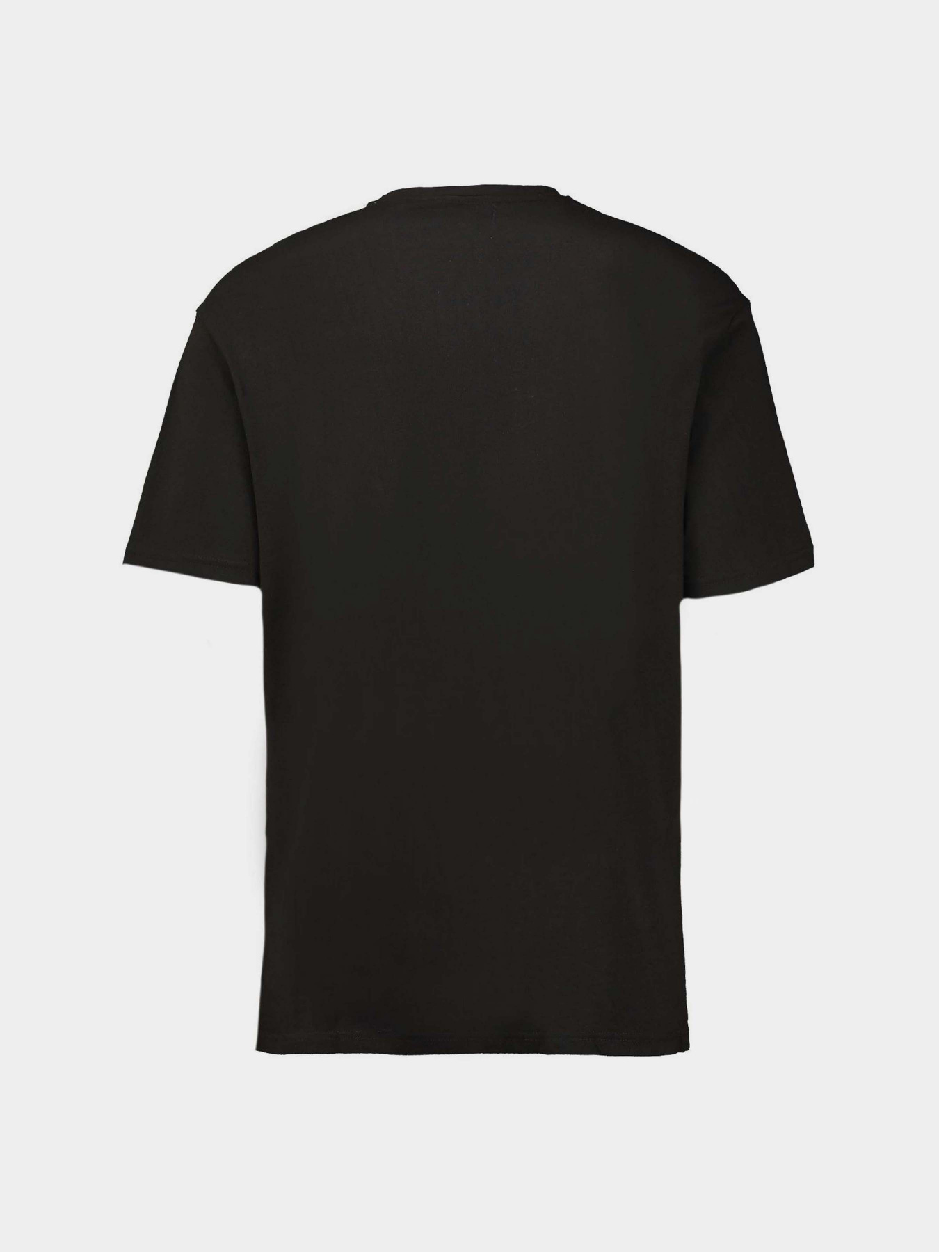 Футболка Piazza Italia модель 57554_black Фото