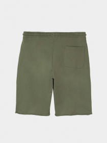 Шорты Piazza Italia модель 87439_army Фото