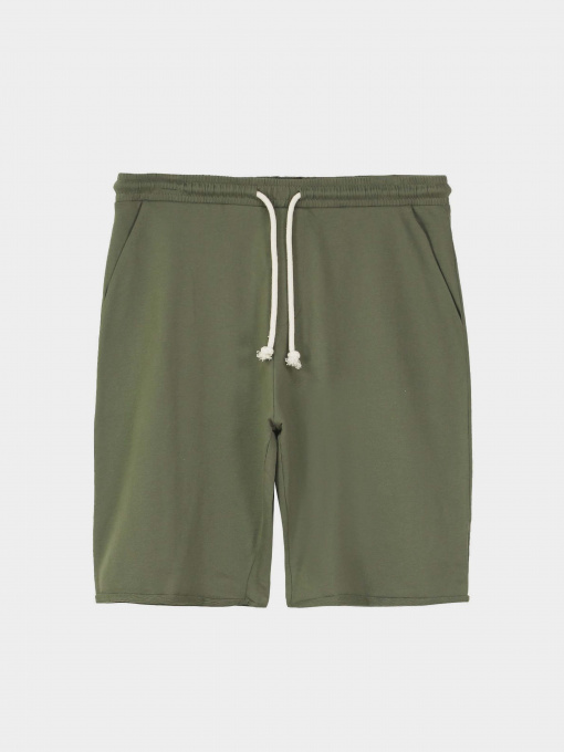 Шорты Piazza Italia модель 87439_army Фото